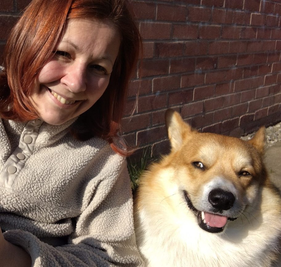 1 to 1 dog training consultation 1 to 1 consultations around Bury and Heywood